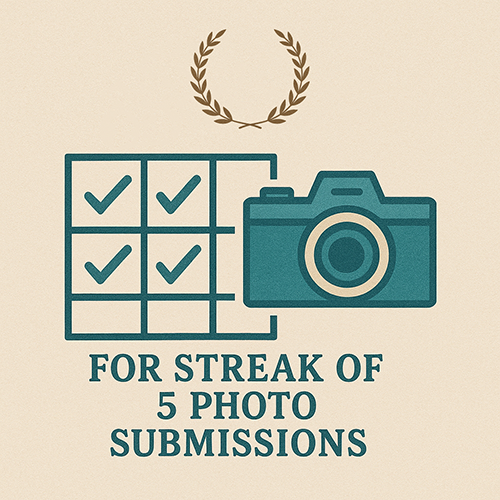 Max streak of at least 5 submissions Max streak of at least 5 submissions